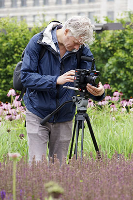 Review Of Five Seasons The Gardens Of Piet Oudolf 2018 06 19