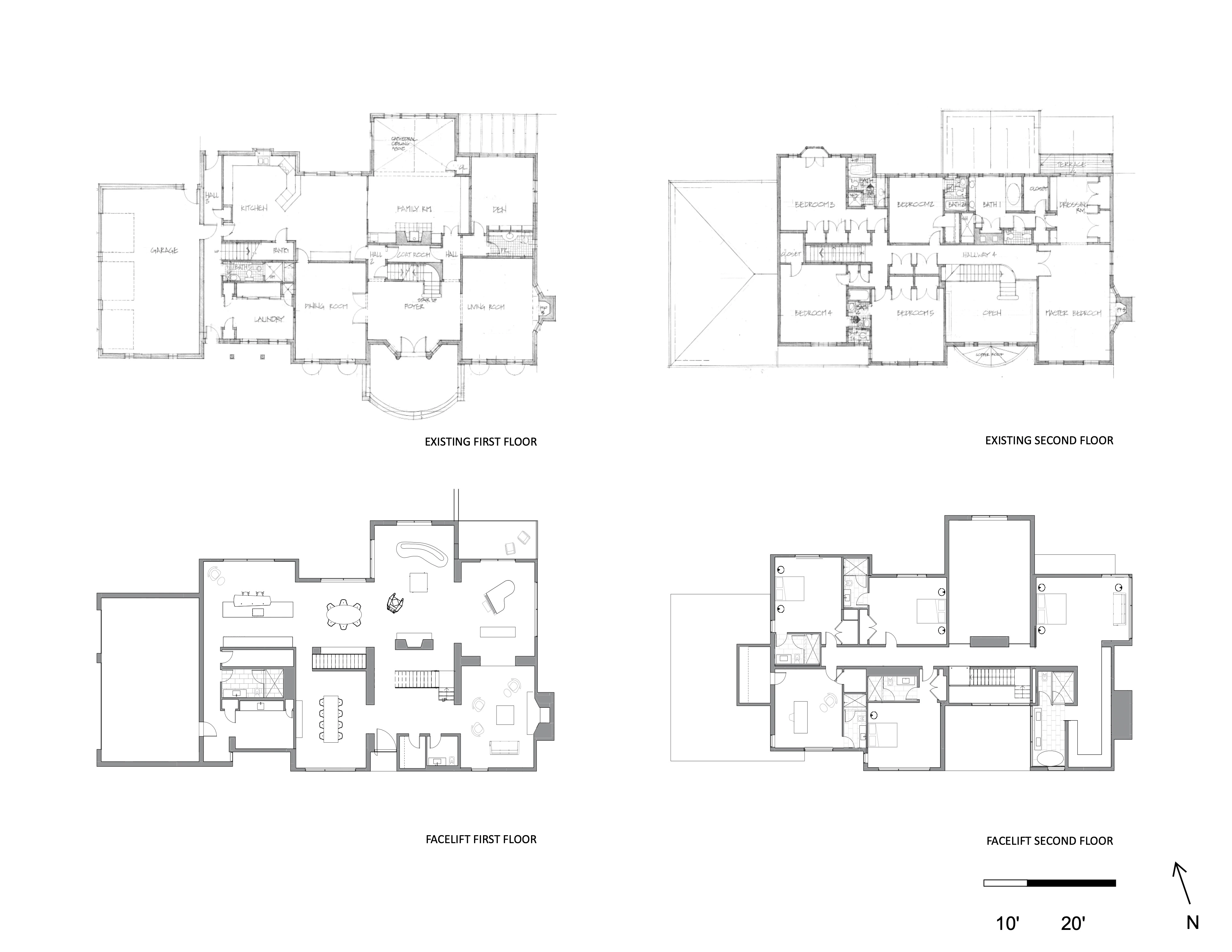 FACELIFT by David Jameson Architect