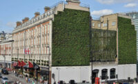 Green Walls