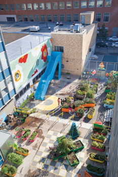 Edible Schoolyard