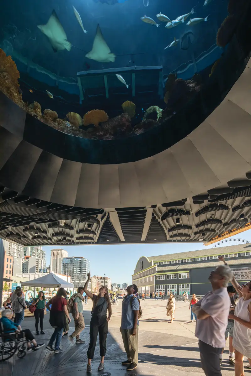 The Seattle Aquarium’s Ocean Pavilion.