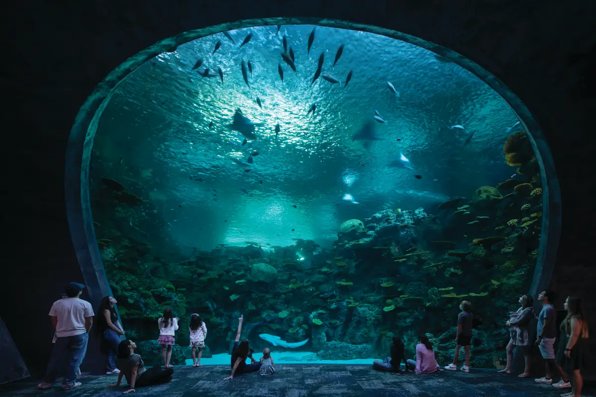 The Seattle Aquarium’s Ocean Pavilion.