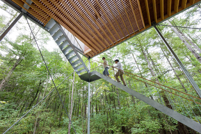 Pilotis in a Forest by Go Hasegawa (2010): This house is located in the  dense forest of Gunma, Japan. Its design features a series of slender  pilotis that elevate the house above