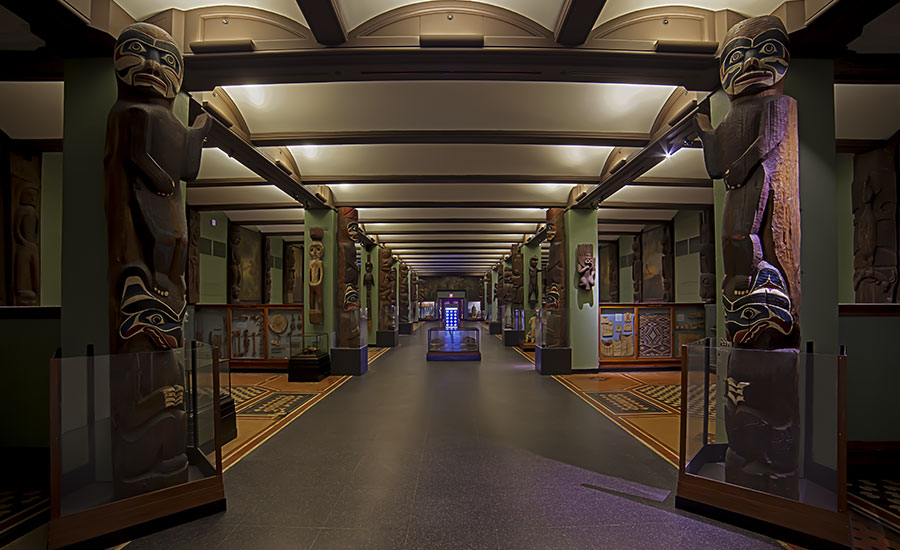 In Photos: See the American Museum of National History's Hall of