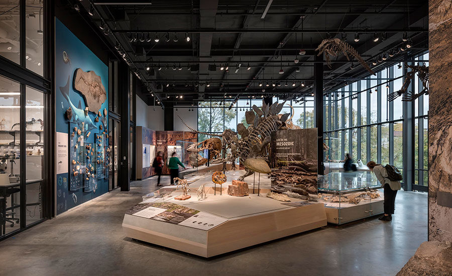 Burke Museum Of Natural History And Culture By Olson Kundig 2019 12