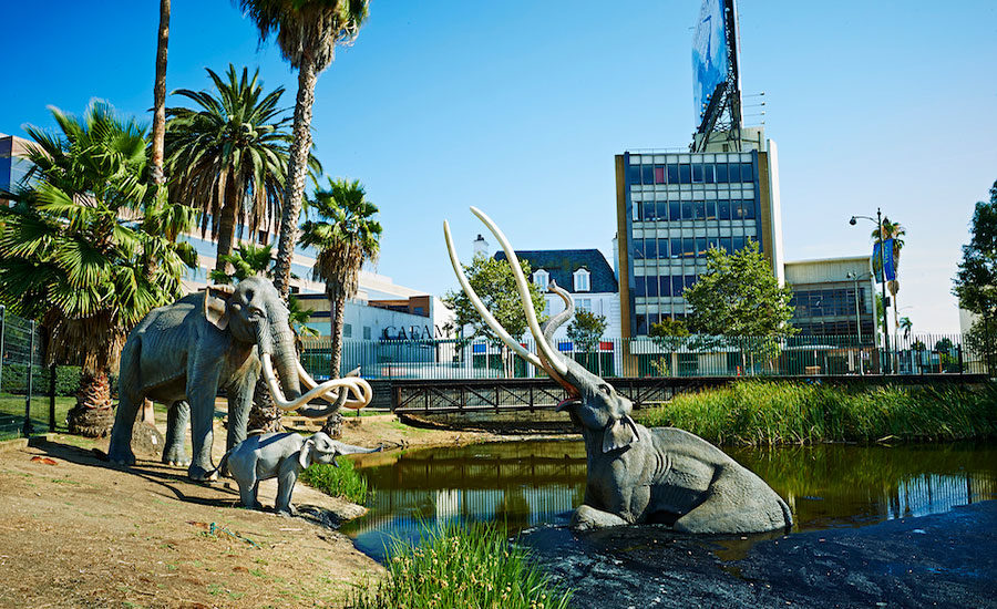 Weiss/Manfredi Selected for La Brea Tar Pits Master Plan | 2019-12-11 ...