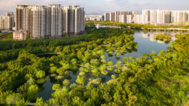 Sanya Dong’an Wetland Park, Sanya, Hainan Province, China, 2021. Photo ©Turenscape courtesy The Cultural Landscape Foundation.1.jpg