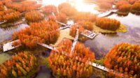 Nanchang Fish Tail Park 