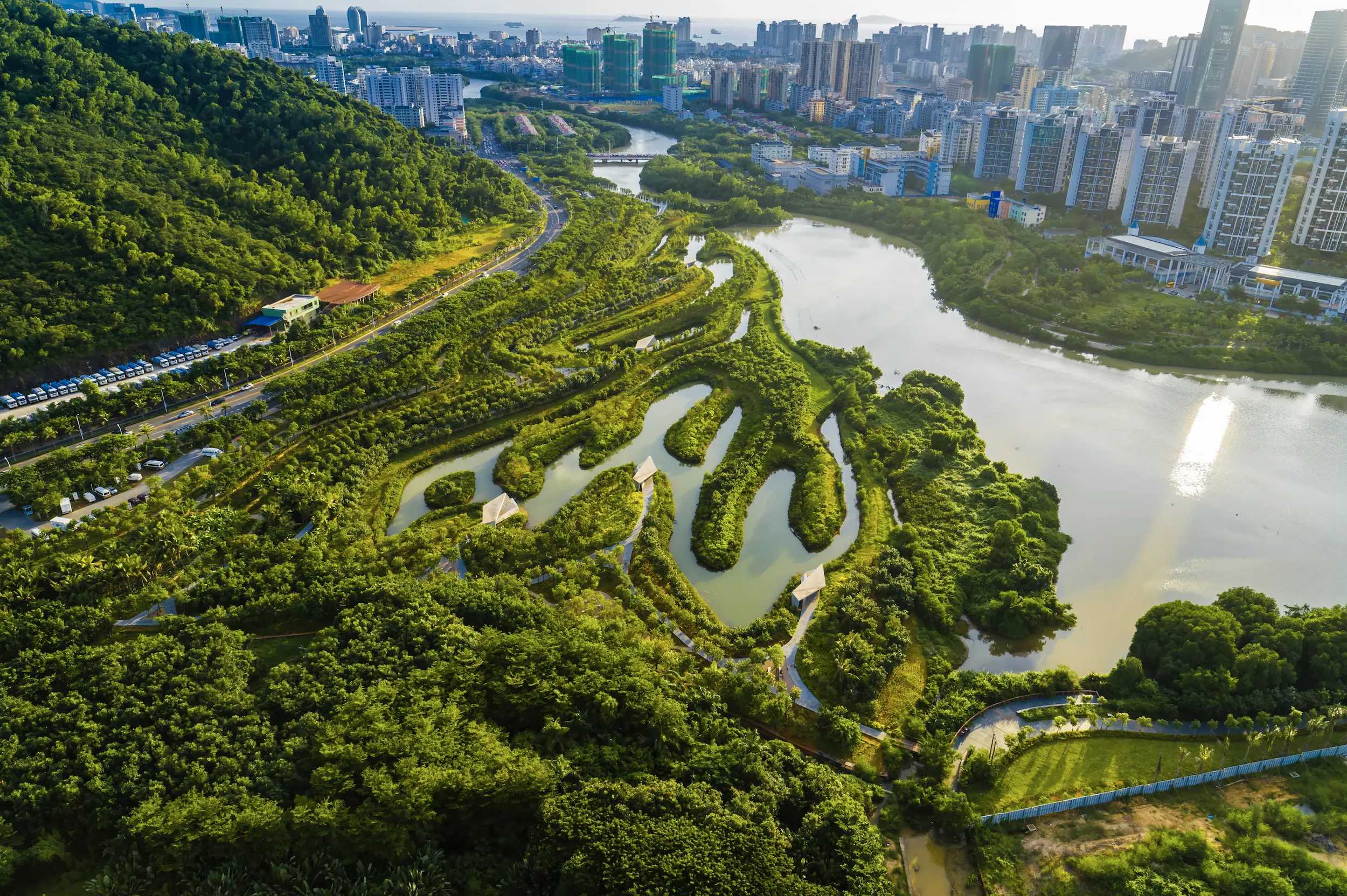 sanya mangrove park.