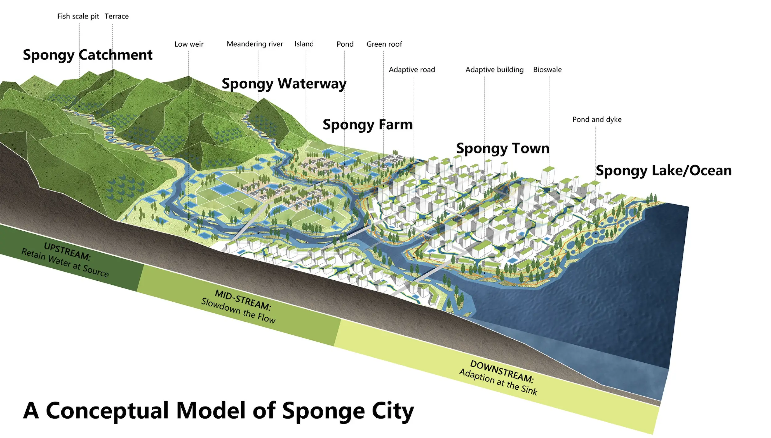 sponge city diagram.