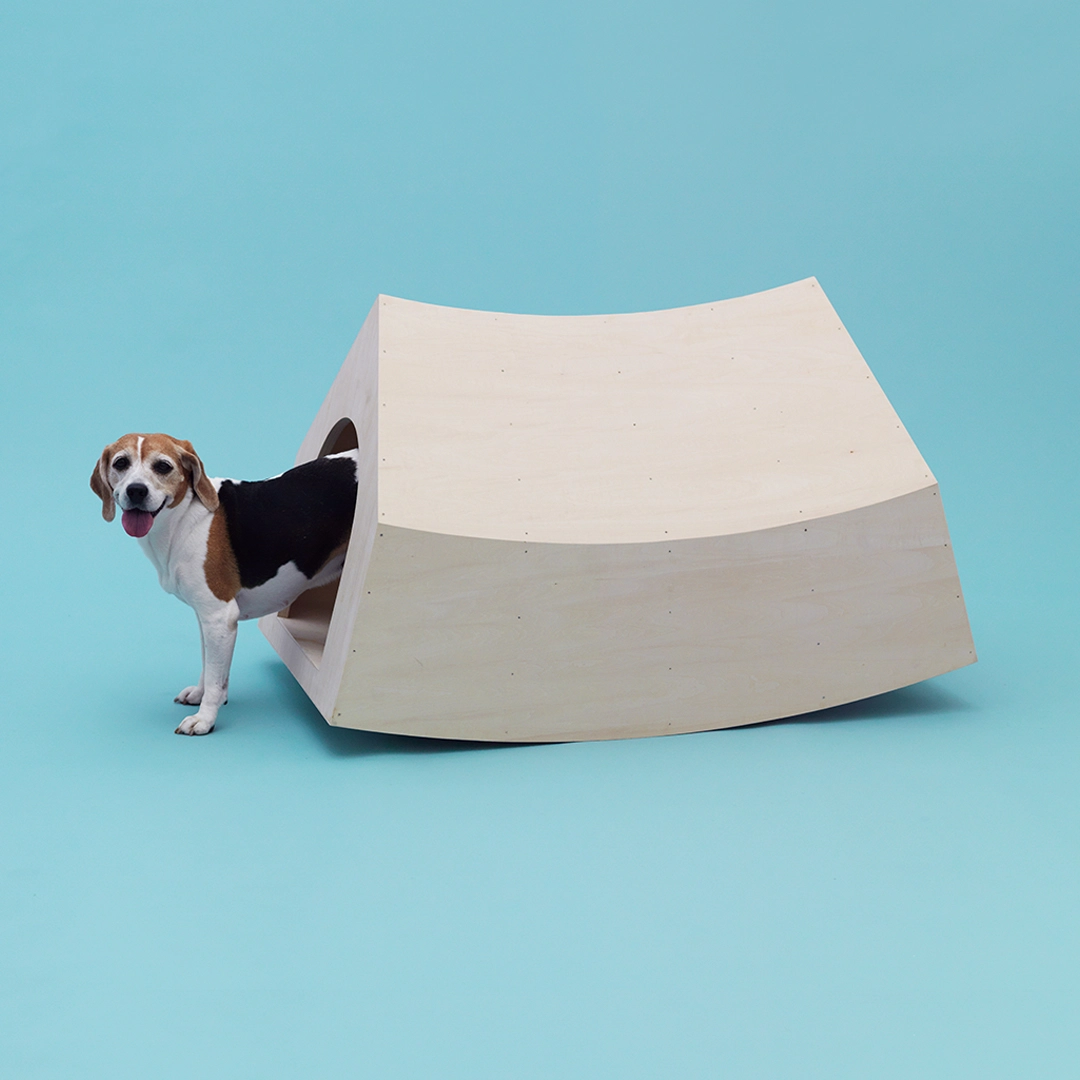 Architecture for Dogs Milan