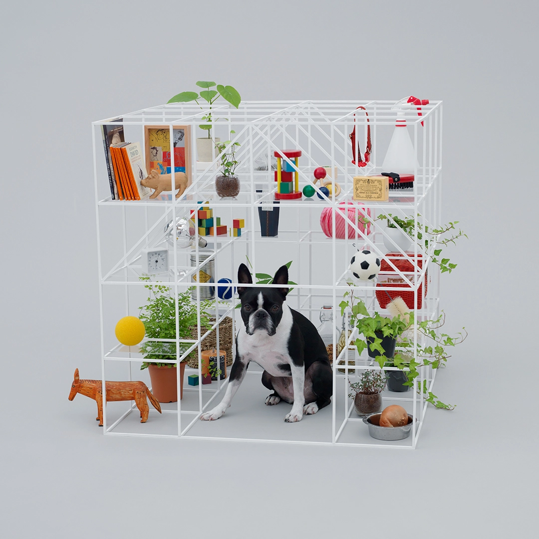 Architecture for Dogs Milan