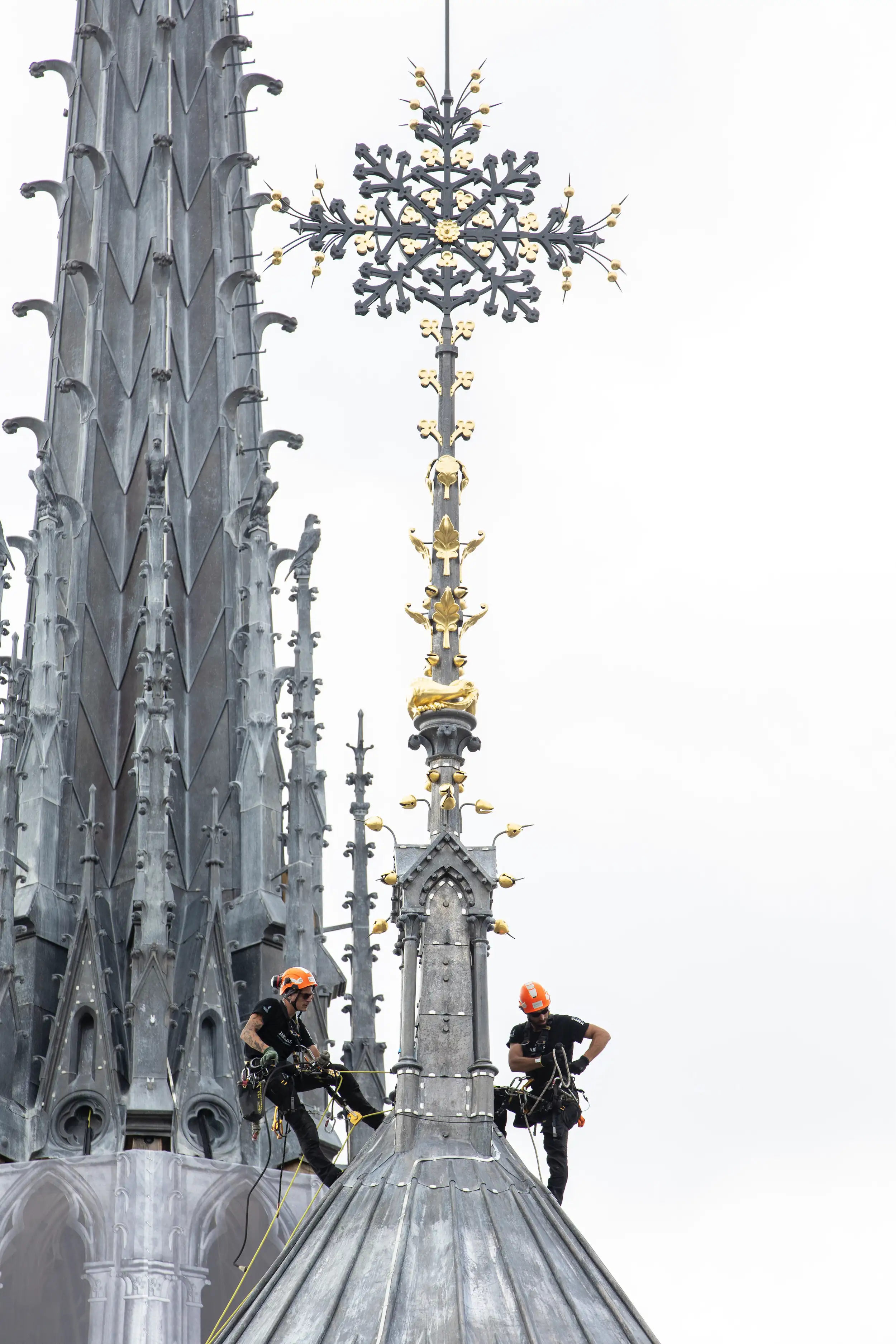 notre-dame de paris.